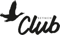 Avva  Logo