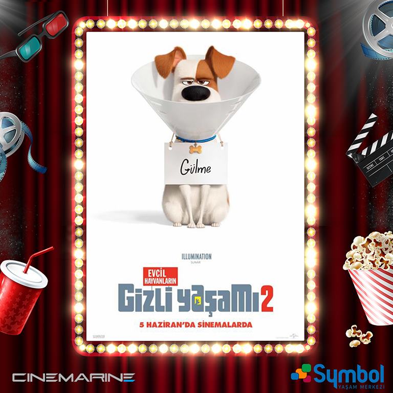 Sinema - Evcil Hayvanların Gizli Yaşamı 2